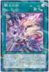 騎士の絆【パラ】