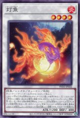 灯魚【ノー】