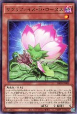 サクリファイス・D・ロータス【レア】