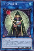 セベクの魔導士【ノー】