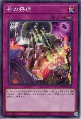 神の摂理【ノー】