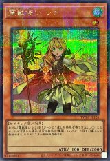 霊獣使いレラ（シークレットパラレル仕様）【パラ】