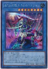 伝説の剣闘士 カオス・ソルジャー【シク】（Bランク）