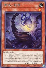 蕾禍ノ毬首【レア】