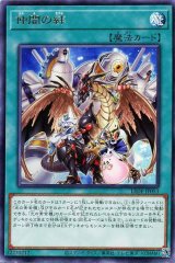 仲間の絆【レア】（Dランク）