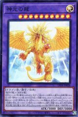 神光の龍【スー】（Bランク）