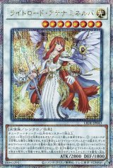 ライトロード・アテナ ミネルバ【QCシク】