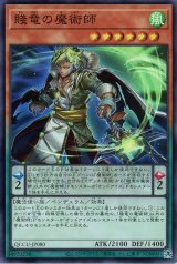 賤竜の魔術師【スー】（Bランク）