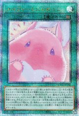 メルフィーとにらめっこ【QCシク】