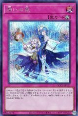 潤いの風【シク】