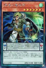 賤竜の魔術師【シク】（Bランク）