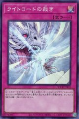 ライトロードの裁き【スー】（Bランク）