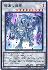 蒼眼の銀龍【スー】（Bランク）