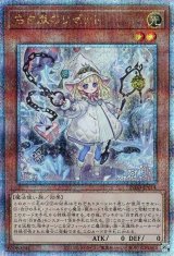 白き森のリゼット【QCシク】