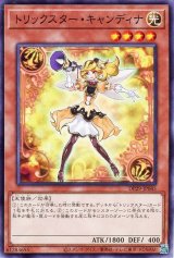 トリックスター・キャンディナ【ノー】