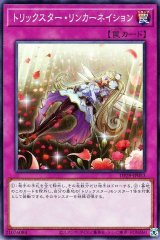 トリックスター・リンカーネイション【ノー】