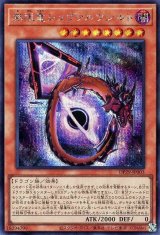 無限竜シュヴァルツシルト【シク】