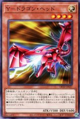 Y-ドラゴン・ヘッド【ノー】