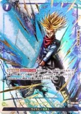 ファイナルホープスラッシュ(R★/金箔) [FB01-066]