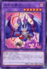 共命の翼ガルーラ【ノー】