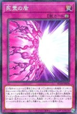 死霊の盾【パラ】