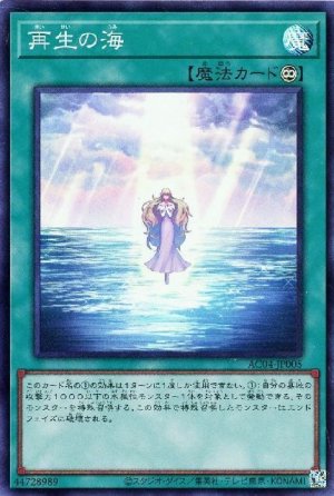 画像1: 再生の海【スー】