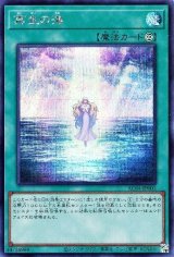 再生の海【シク】