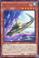 カット・イン・シャーク【ノー】