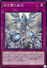 白き龍の威光【ノーマルパラレル】