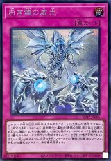 白き龍の威光【シークレット】