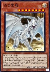 白き霊龍【ノーマル】
