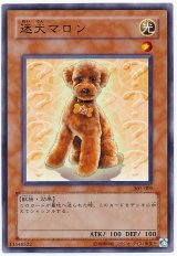 迷犬マロン（Bランク）