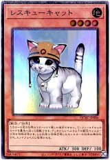 レスキューキャット【スー】