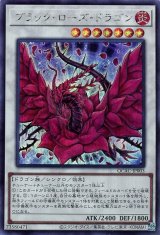 ブラック・ローズ・ドラゴン(通常イラスト)【シク】