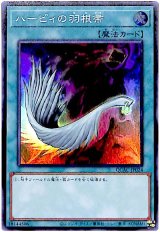 ハーピィの羽根帚【スー】（Bランク）