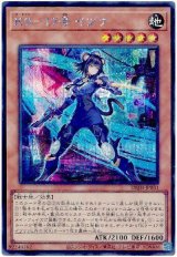 K9-17号 イヅナ【シク】