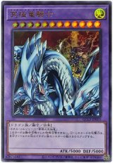 究極竜騎士(最新版)【ウル】（Bランク）