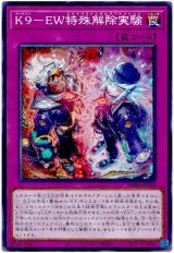K9-EW特殊解除実験【ノー】