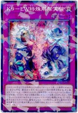 K9-EW特殊解除実験【パラ】
