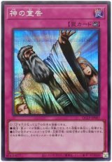 神の宣告【シク】
