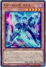 K9-66a号 ヨクル【スー】