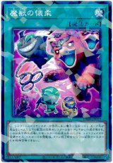 魔獣の懐柔【パラ】