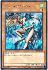 ダンシング・エルフ(最新版)【シク】（Bランク）