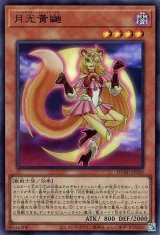 月光黄鼬【ウル】