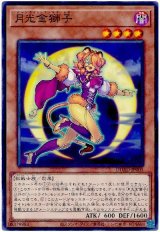 月光金獅子【ノー】