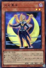 月光黒羊【ウル】