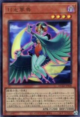 月光翠鳥【ウル】