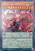 魔妖仙獣 独眼群主【シク】（Bランク）