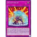 ＲＥＩＮＦＯＲＣＥ！【ノー】