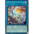 エクソシスター・アーメント【ノー】